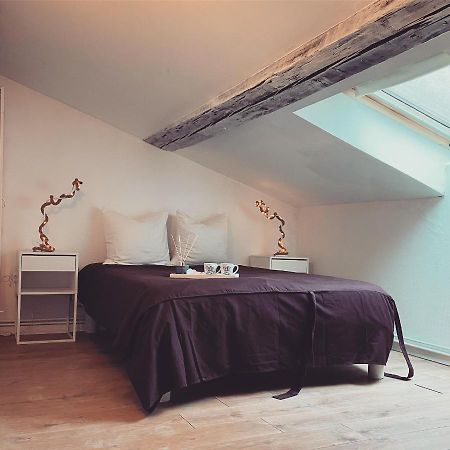 Superbe Duplex En Plein Coeur De Nancy Νανσύ Εξωτερικό φωτογραφία